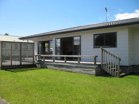 Matarangi Drive - Photo 2