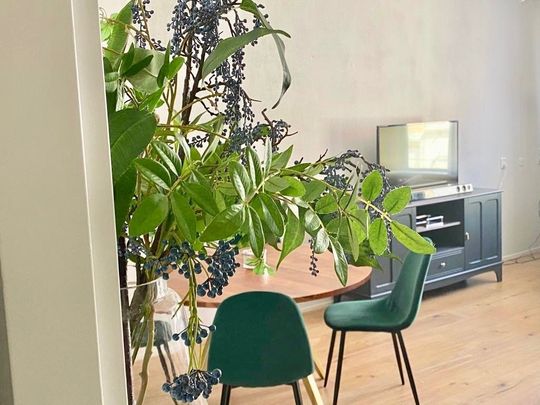 Mallemolen, 2585 XG Den Haag - Photo 1