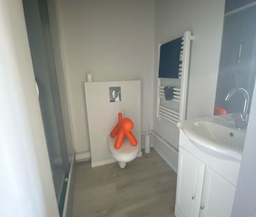 Studio Meublé Place de la Victoire – 25m2 - Photo 5