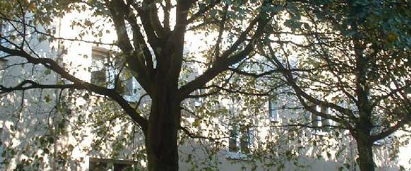 Demnächst frei! 2-Zimmer-Wohnung in Essen Altendorf - Photo 1