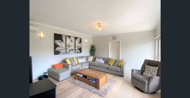 LUXURY HOME - WALK TO BALWYN HIGH SCHOOL - Photo 1