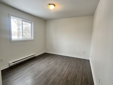 56B CHADWICK ST | 3 BR MAIN LEVEL UNIT | AVAILABLE NOW | $1995 - Photo 5
