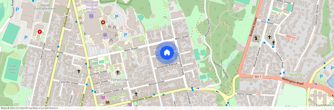 16, Picton Avenue, Newtown, Wellington