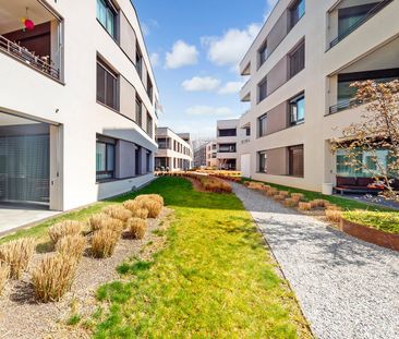 3.5 Zimmer, 95 m², EG - Photo 5