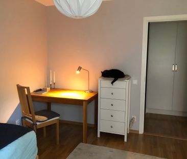 Smögengatan, Göteborg - Foto 2