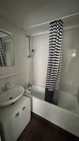 Location Appartement 1 pièce 22m² - Photo 3