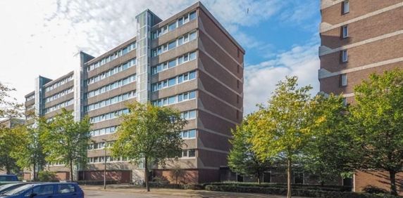 Milosdreef, 3562 VE Utrecht, Nederland - Foto 2
