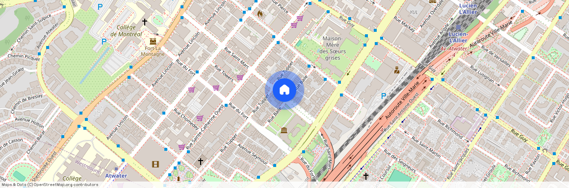 1225 Saint Marc Street, Ville-Marie, Ville-Marie, Ile de Montréal, H3H 2E7
