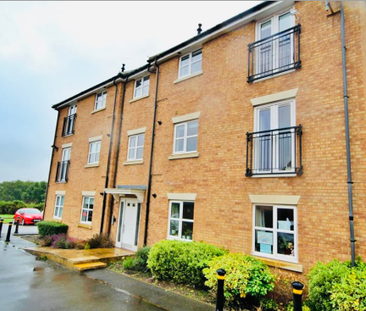 Fyne Court, Lyon Drive, Tamworth, Property for rent - Photo 5