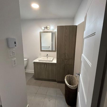 3 1/2 à louer Animaux acceptés 🐾 - Photo 3