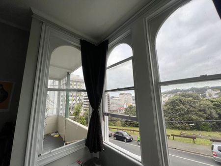 Te Aro, 3 bedrooms + study - Photo 5