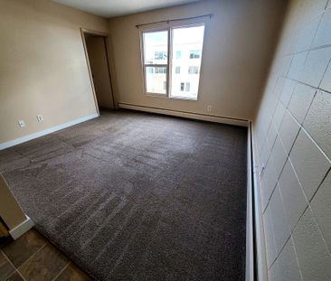 Large 1 Bedroom Units!!! One Month Free Rent!! - Photo 2