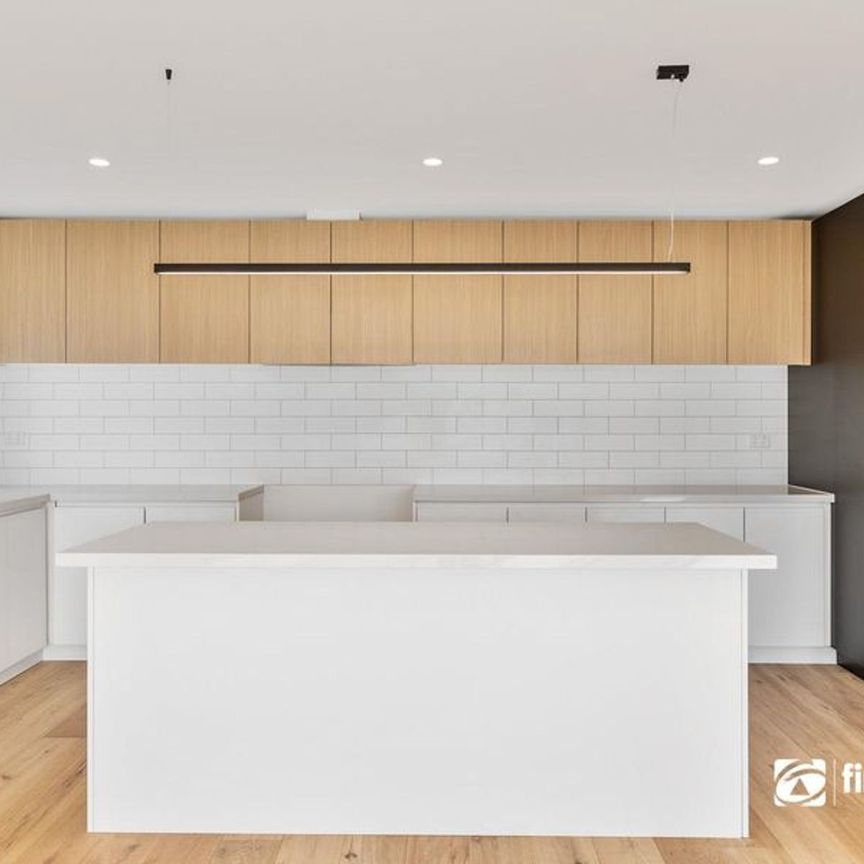 Don't Be Jelly!! - Photo 1