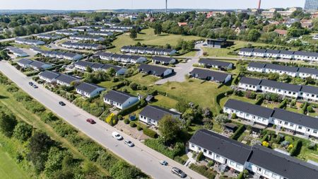 Provstejorden, Præstemarken, Klokkervangen og Degnelodden - Photo 4