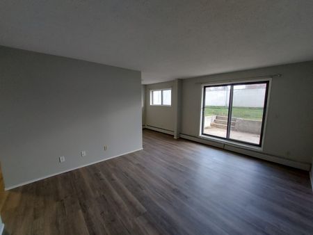 Fully Renovated Pet Friendly Unit - Photo 5