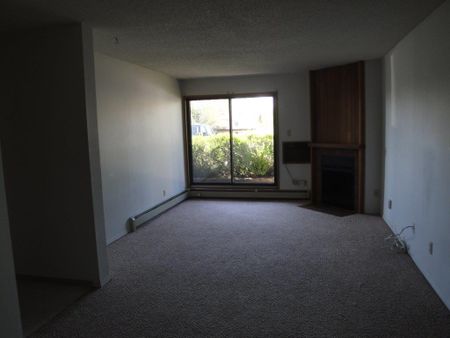 2 Bedroom Apartments – Lake Pointe Condos - Photo 2