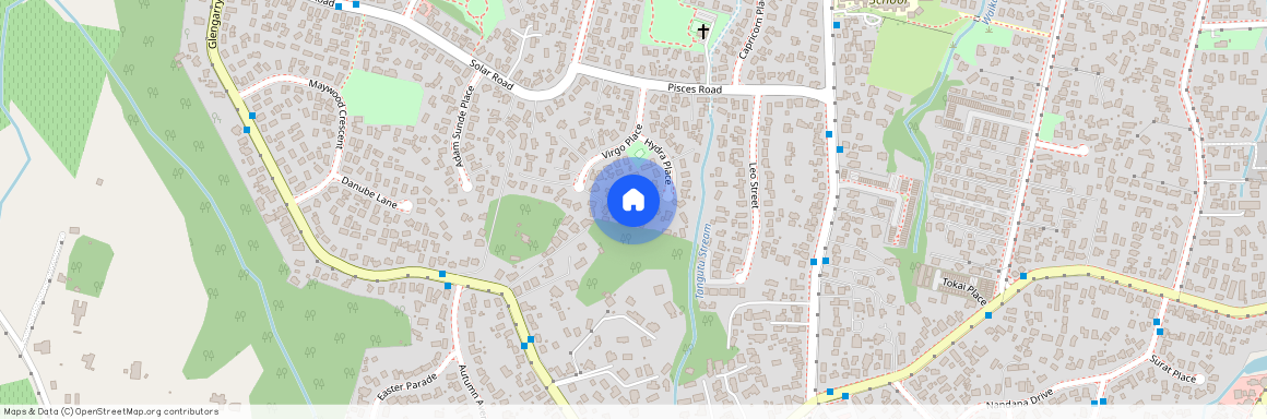 15 Hydra Place, Glen Eden