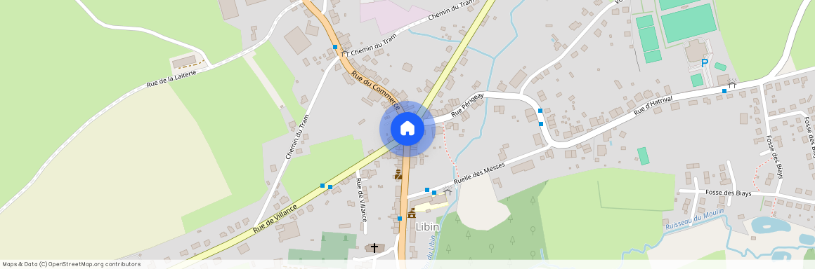 6890, Libin