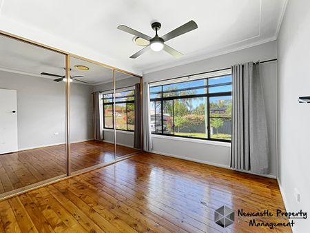43 Woodstock Street, Mayfield - Photo 4