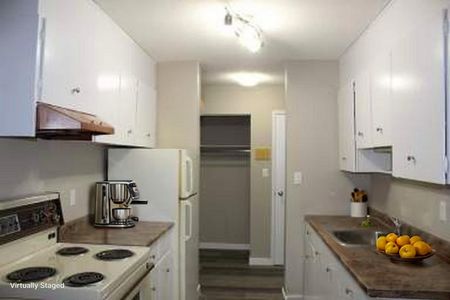 Mainstreet on 33rd Apartments - Photo 4