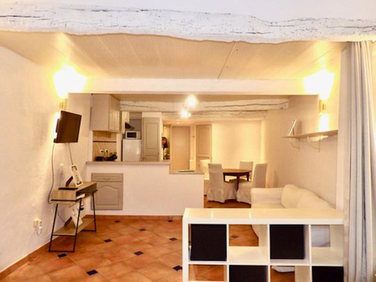 Location Appartement 1 pièce 40m² BARGEMON 83830 - Photo 1