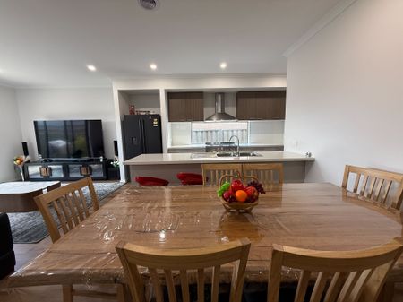 Modern Comforts, Solar & Low-Maintenance Yard - Photo 3