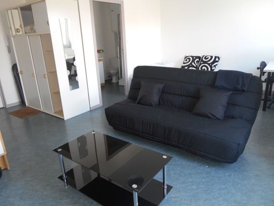 Location Appartement 1 pièce 28m² REIMS 51100 - Photo 1