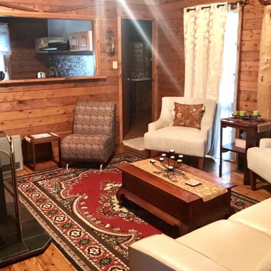 Fully Furnished Cabin Retreat! - Photo 1
