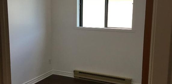 Cuisine 100% renovée, 4 1/2 disponible dès maintenant ! - Photo 2