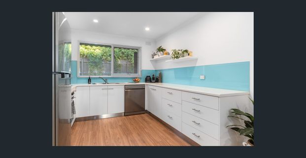 Light-Filled Hidden Gem - Photo 1