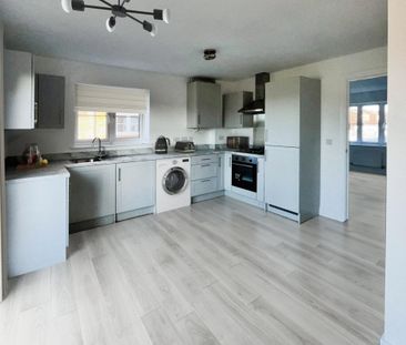 Butterwick Gardens - Photo 4