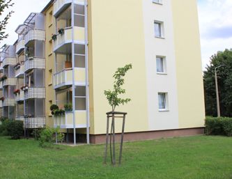 *Wohnidylle genießen!* - Photo 1