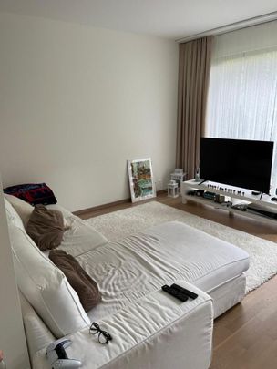 2.5 Zimmer, 62 m², EG - Foto 1