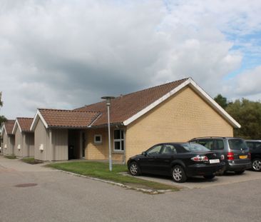 Birkehøjvej 1-7, 13-23, Øster Hornum - Photo 1