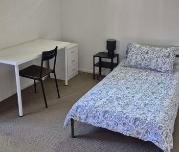 Corinda - Photo 4