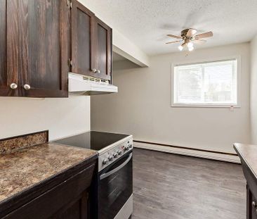 Renovated Suite - 2 Bedroom - Photo 6