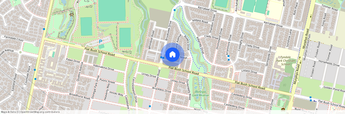 15 Sycamore Street, Manukau City, Flat Bush