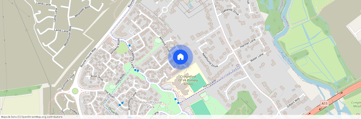 Chestnut Place, Norwich, NR4