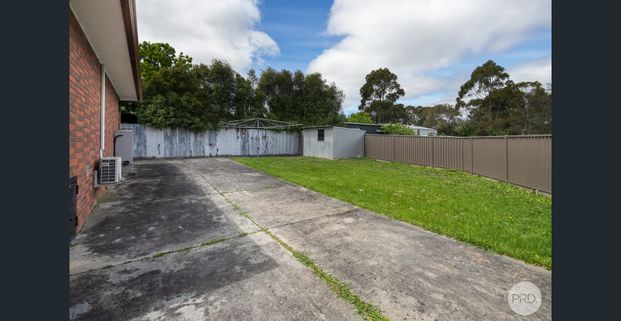LIGHT FILLED FAMILY HOME IN BALLARAT EAST - Photo 1