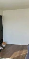 Appartement · 63 m² · Québec - Photo 4