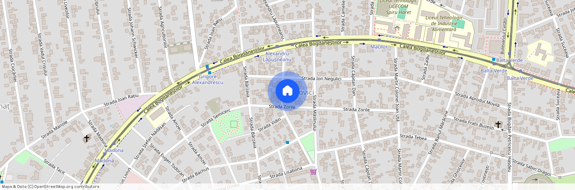Timis, Timisoara