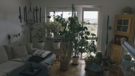 Bovägen, Timrå - Foto 5