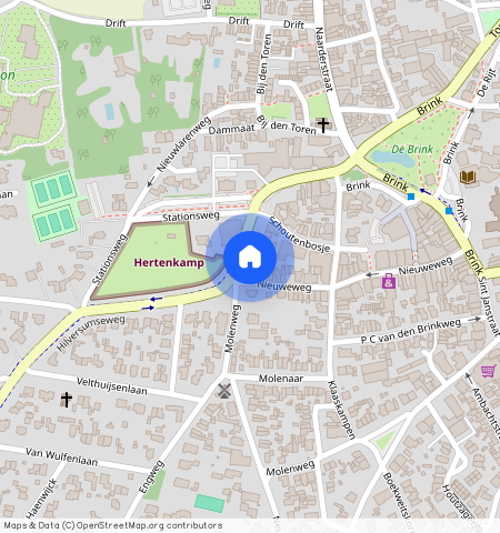 Burgemeester van Nispen van Sevenaerstraat 28, 1251 KH, LAREN