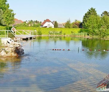 Sehr schöne Einzimmerwohnung in Fischamend komplett eingerichtet di... - Photo 4