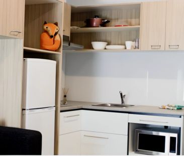 Studio Twin Share-Twin Bunk Studio - Photo 3