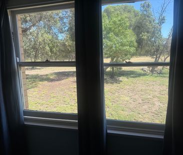 Lovely Banks - Photo 4