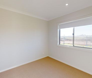 217 Robert Road, Lochinvar NSW 2321 - Photo 3