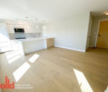 Bright & Open 1 Bedroom in Central Mount Pleasant - Photo 4