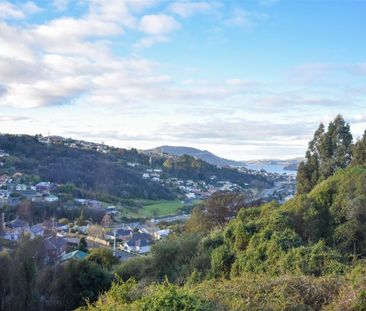 64 Waimea Avenue, Calton Hill, Dunedin - Photo 2