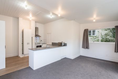 155 Queen St, North Dunedin - Photo 5